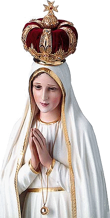 bvm_049.gif